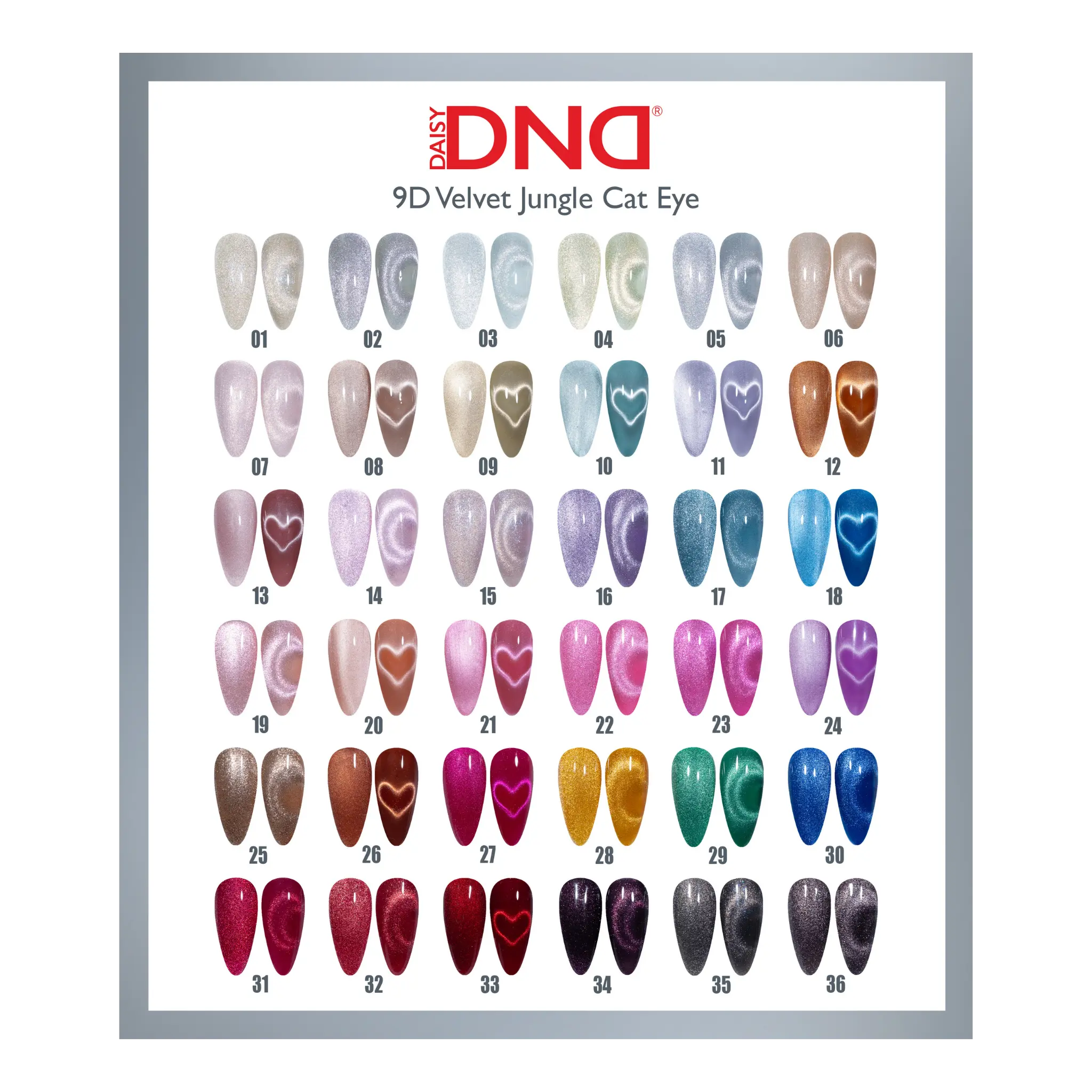 DND Color Swatches